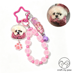 Personalized 3D Pet Photo Keychain | Bagchain