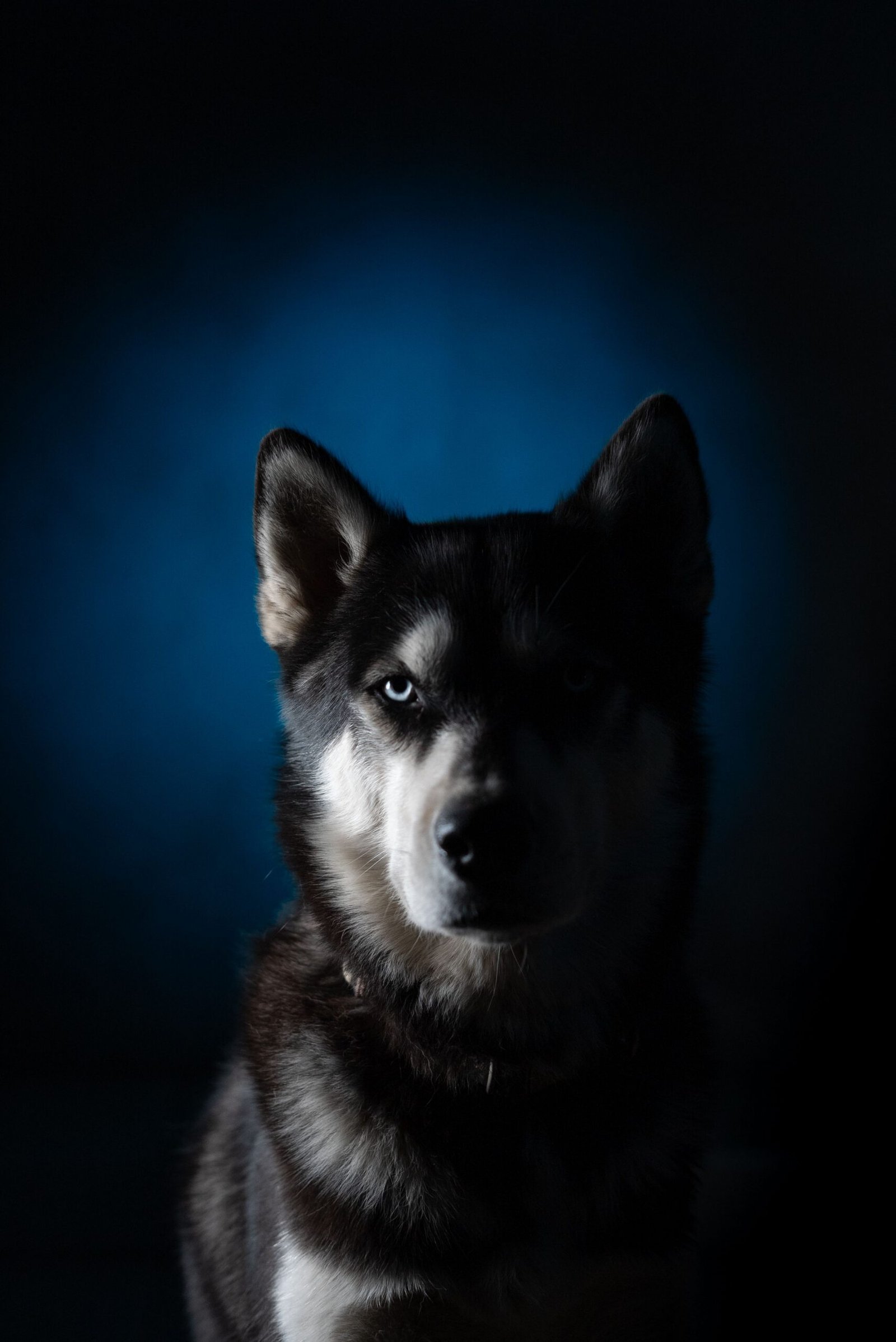 Bad example: dark or harsh light
