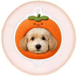 Approve your personalized pet charm 3D preview